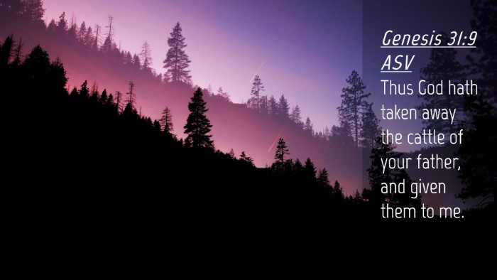 Picture 04 - Genesis 31:9 ASV Desktop Wallpaper - Thus God hath taken away the cattle of your - Desktop Bible Verse Wallpaper