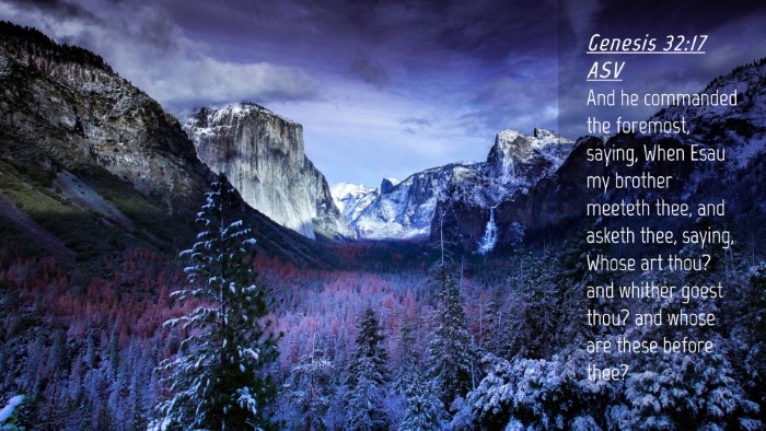 Picture 04 - Genesis 32:17 ASV Desktop Wallpaper - And he commanded the foremost, saying, When Esau - Desktop Bible Verse Wallpaper