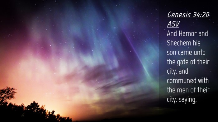 Picture 04 - Genesis 34:20 ASV Desktop Wallpaper - And Hamor and Shechem his son came unto the gate - Desktop Bible Verse Wallpaper
