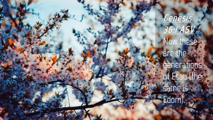 Picture 04 - Genesis 36:1 ASV Desktop Wallpaper - Now these are the generations of Esau (the same - Desktop Bible Verse Wallpaper