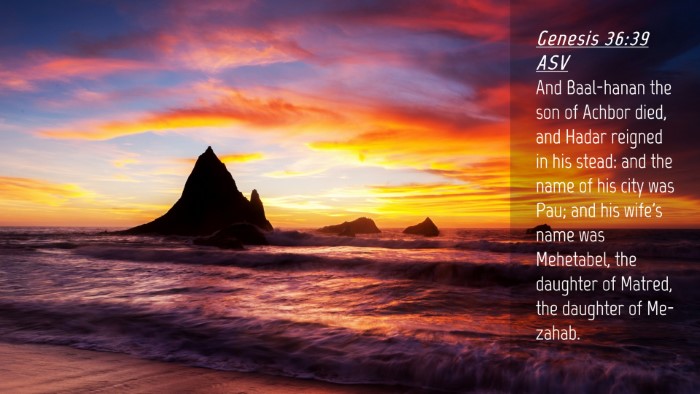 Picture 04 - Genesis 36:39 ASV Desktop Wallpaper - And Baal-hanan the son of Achbor died, and Hadar - Desktop Bible Verse Wallpaper