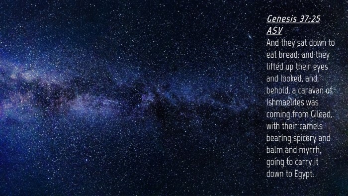 Picture 04 - Genesis 37:25 ASV Desktop Wallpaper - And they sat down to eat bread: and they lifted - Desktop Bible Verse Wallpaper