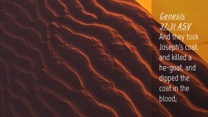 Picture 04 - Genesis 37:31 ASV Desktop Wallpaper - And they took Joseph's coat, and killed a - Desktop Bible Verse Wallpaper