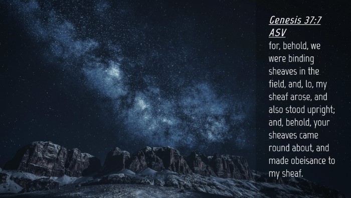 Picture 04 - Genesis 37:7 ASV Desktop Wallpaper - for, behold, we were binding sheaves in the - Desktop Bible Verse Wallpaper