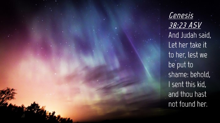 Picture 04 - Genesis 38:23 ASV Desktop Wallpaper - And Judah said, Let her take it to her, lest we - Desktop Bible Verse Wallpaper