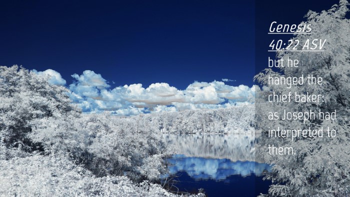 Picture 04 - Genesis 40:22 ASV Desktop Wallpaper - but he hanged the chief baker: as Joseph had - Desktop Bible Verse Wallpaper