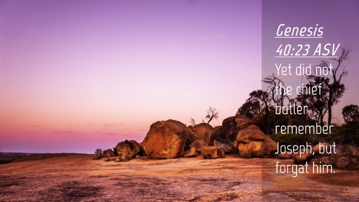 Picture 04 - Genesis 40:23 ASV Desktop Wallpaper - Yet did not the chief butler remember Joseph, but - Desktop Bible Verse Wallpaper