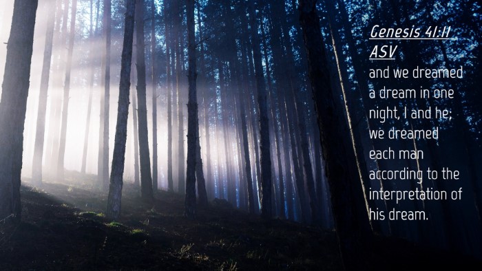 Picture 04 - Genesis 41:11 ASV Desktop Wallpaper - and we dreamed a dream in one night, I and he; we - Desktop Bible Verse Wallpaper