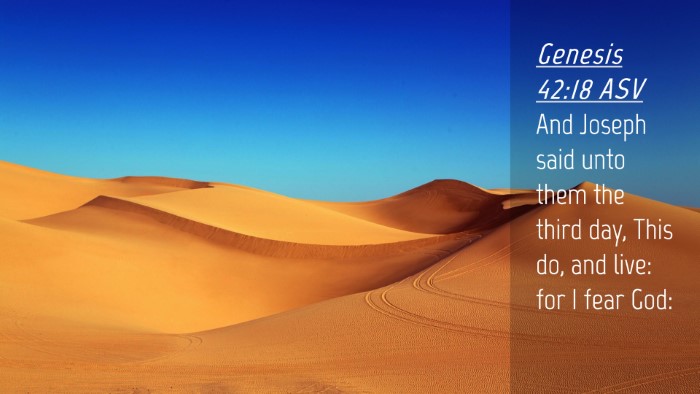 Picture 04 - Genesis 42:18 ASV Desktop Wallpaper - And Joseph said unto them the third day, This do, - Desktop Bible Verse Wallpaper