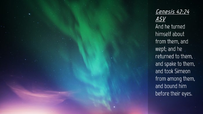 Picture 04 - Genesis 42:24 ASV Desktop Wallpaper - And he turned himself about from them, and wept; - Desktop Bible Verse Wallpaper