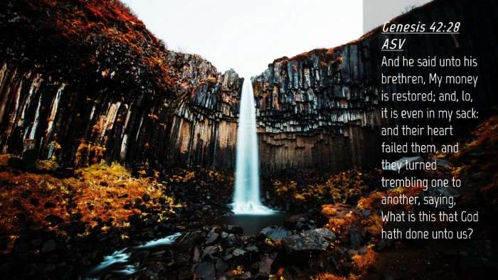 Picture 04 - Genesis 42:28 ASV Desktop Wallpaper - And he said unto his brethren, My money is - Desktop Bible Verse Wallpaper