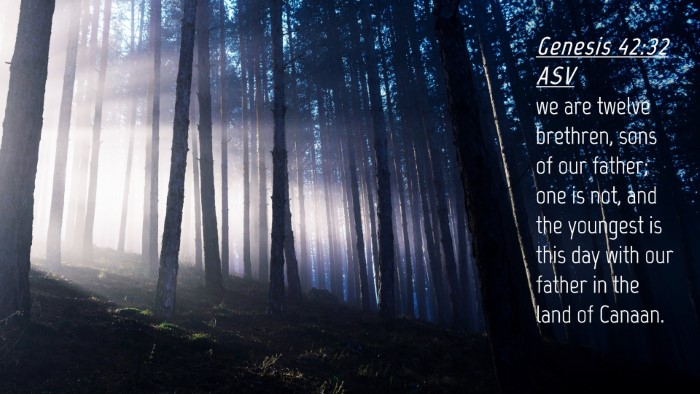 Picture 04 - Genesis 42:32 ASV Desktop Wallpaper - we are twelve brethren, sons of our father; one - Desktop Bible Verse Wallpaper