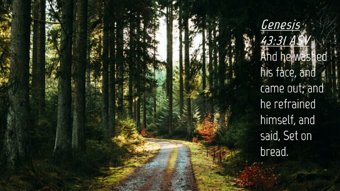 Picture 04 - Genesis 43:31 ASV Desktop Wallpaper - And he washed his face, and came out; and he - Desktop Bible Verse Wallpaper
