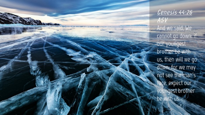 Picture 04 - Genesis 44:26 ASV Desktop Wallpaper - And we said, We cannot go down: if our youngest - Desktop Bible Verse Wallpaper