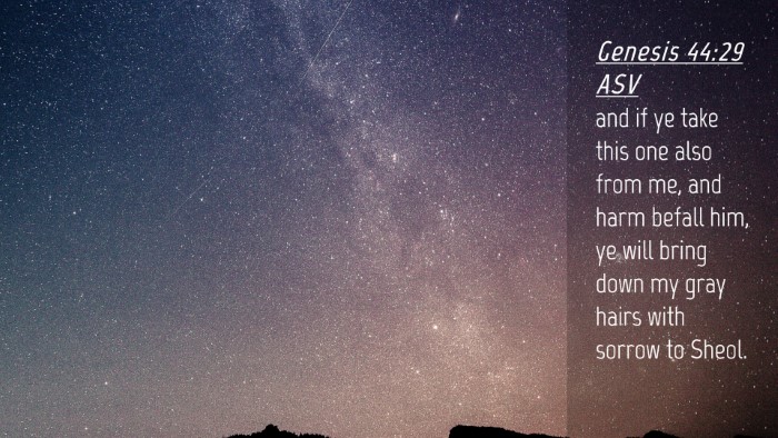 Picture 04 - Genesis 44:29 ASV Desktop Wallpaper - and if ye take this one also from me, and harm - Desktop Bible Verse Wallpaper