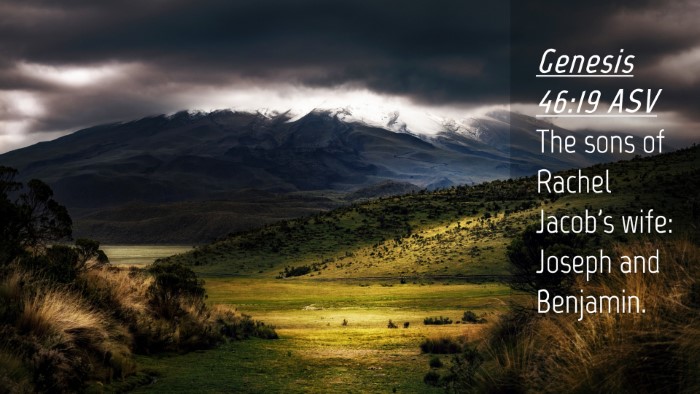 Picture 04 - Genesis 46:19 ASV Desktop Wallpaper - The sons of Rachel Jacob's wife: Joseph and - Desktop Bible Verse Wallpaper