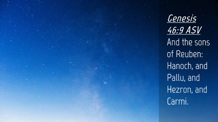 Picture 04 - Genesis 46:9 ASV Desktop Wallpaper - And the sons of Reuben: Hanoch, and Pallu, and - Desktop Bible Verse Wallpaper