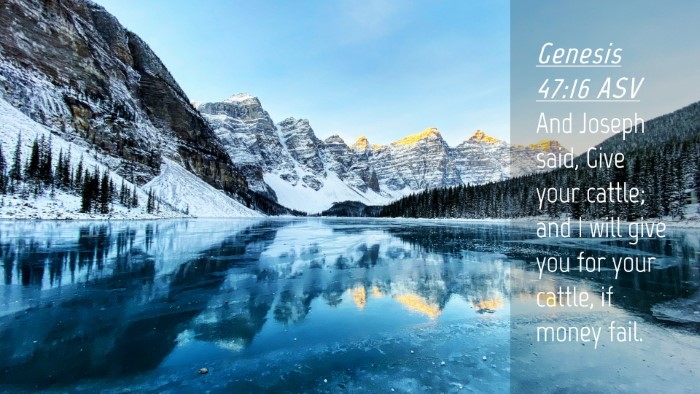 Picture 04 - Genesis 47:16 ASV Desktop Wallpaper - And Joseph said, Give your cattle; and I will - Desktop Bible Verse Wallpaper