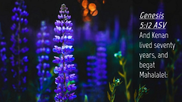 Picture 04 - Genesis 5:12 ASV Desktop Wallpaper - And Kenan lived seventy years, and begat - Desktop Bible Verse Wallpaper