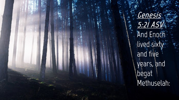 Picture 04 - Genesis 5:21 ASV Desktop Wallpaper - And Enoch lived sixty and five years, and begat - Desktop Bible Verse Wallpaper