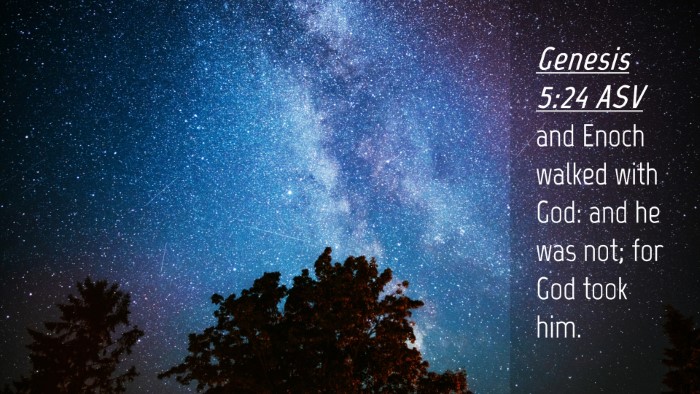 Picture 04 - Genesis 5:24 ASV Desktop Wallpaper - and Enoch walked with God: and he was not; for - Desktop Bible Verse Wallpaper