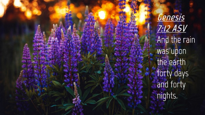 Picture 04 - Genesis 7:12 ASV Desktop Wallpaper - And the rain was upon the earth forty days and - Desktop Bible Verse Wallpaper