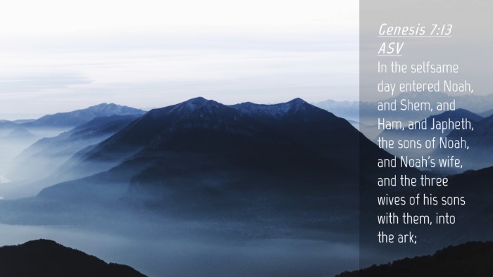 Picture 04 - Genesis 7:13 ASV Desktop Wallpaper - In the selfsame day entered Noah, and Shem, and - Desktop Bible Verse Wallpaper