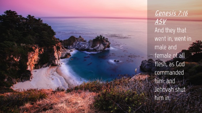 Picture 04 - Genesis 7:16 ASV Desktop Wallpaper - And they that went in, went in male and female of - Desktop Bible Verse Wallpaper