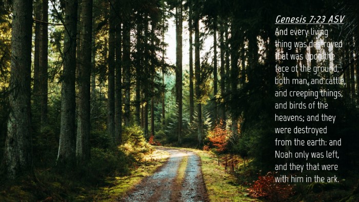Picture 04 - Genesis 7:23 ASV Desktop Wallpaper - And every living thing was destroyed that was - Desktop Bible Verse Wallpaper