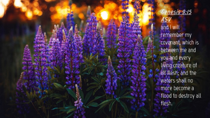 Picture 04 - Genesis 9:15 ASV Desktop Wallpaper - and I will remember my covenant, which is between - Desktop Bible Verse Wallpaper