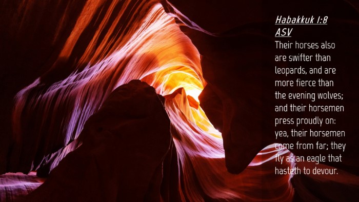 Picture 04 - Habakkuk 1:8 ASV Desktop Wallpaper - Their horses also are swifter than leopards, and - Desktop Bible Verse Wallpaper
