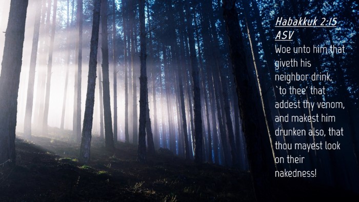 Picture 04 - Habakkuk 2:15 ASV Desktop Wallpaper - Woe unto him that giveth his neighbor drink, `to - Desktop Bible Verse Wallpaper