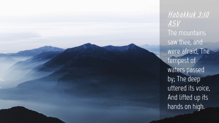 Picture 04 - Habakkuk 3:10 ASV Desktop Wallpaper - The mountains saw thee, and were afraid; The - Desktop Bible Verse Wallpaper