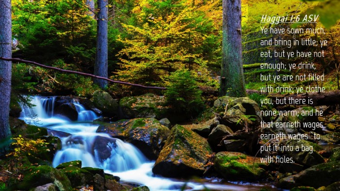 Picture 04 - Haggai 1:6 ASV Desktop Wallpaper - Ye have sown much, and bring in little; ye eat, - Desktop Bible Verse Wallpaper