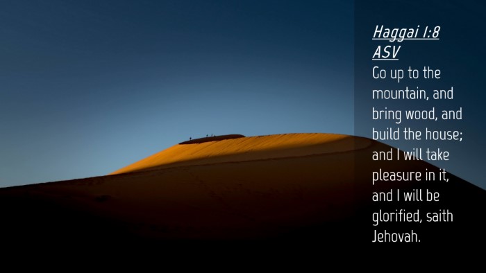 Picture 04 - Haggai 1:8 ASV Desktop Wallpaper - Go up to the mountain, and bring wood, and build - Desktop Bible Verse Wallpaper