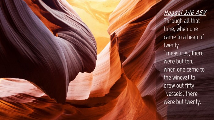 Picture 04 - Haggai 2:16 ASV Desktop Wallpaper - Through all that time, when one came to a heap of - Desktop Bible Verse Wallpaper