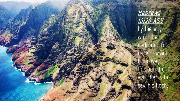 Picture 04 - Hebrews 10:20 ASV Desktop Wallpaper - by the way which he dedicated for us, a new and - Desktop Bible Verse Wallpaper