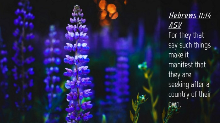 Picture 04 - Hebrews 11:14 ASV Desktop Wallpaper - For they that say such things make it manifest - Desktop Bible Verse Wallpaper