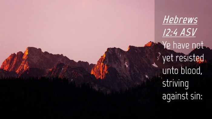 Picture 04 - Hebrews 12:4 ASV Desktop Wallpaper - Ye have not yet resisted unto blood, striving - Desktop Bible Verse Wallpaper