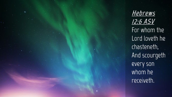 Picture 04 - Hebrews 12:6 ASV Desktop Wallpaper - For whom the Lord loveth he chasteneth, And - Desktop Bible Verse Wallpaper