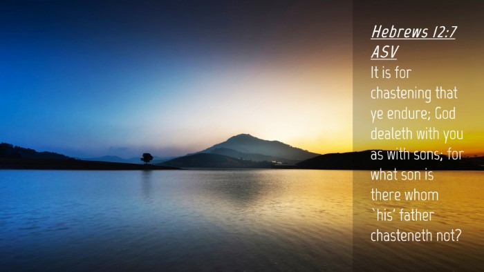 Picture 04 - Hebrews 12:7 ASV Desktop Wallpaper - It is for chastening that ye endure; God dealeth - Desktop Bible Verse Wallpaper