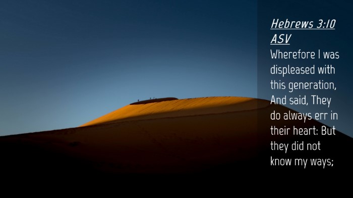 Picture 04 - Hebrews 3:10 ASV Desktop Wallpaper - Wherefore I was displeased with this generation, - Desktop Bible Verse Wallpaper