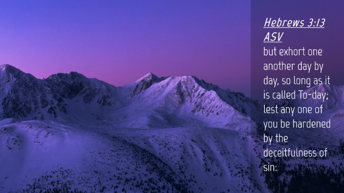 Picture 04 - Hebrews 3:13 ASV Desktop Wallpaper - but exhort one another day by day, so long as it - Desktop Bible Verse Wallpaper