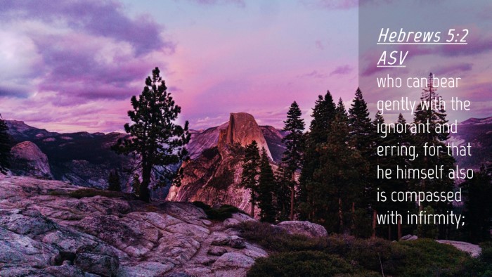 Picture 04 - Hebrews 5:2 ASV Desktop Wallpaper - who can bear gently with the ignorant and erring, - Desktop Bible Verse Wallpaper