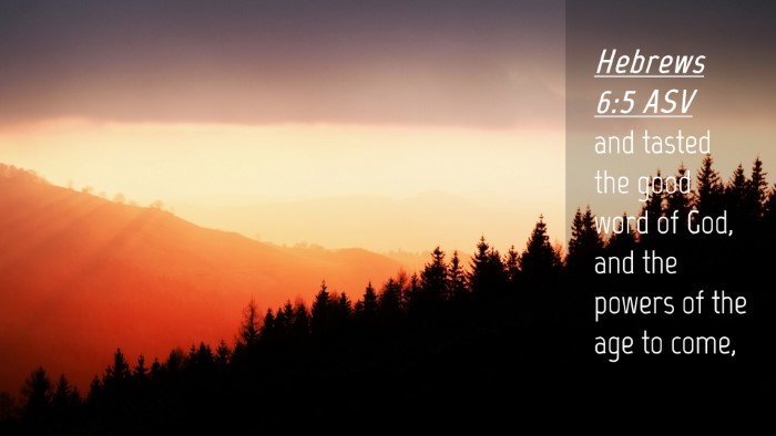 Picture 04 - Hebrews 6:5 ASV Desktop Wallpaper - and tasted the good word of God, and the powers - Desktop Bible Verse Wallpaper