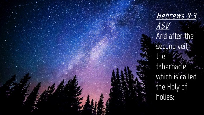 Picture 04 - Hebrews 9:3 ASV Desktop Wallpaper - And after the second veil, the tabernacle which - Desktop Bible Verse Wallpaper