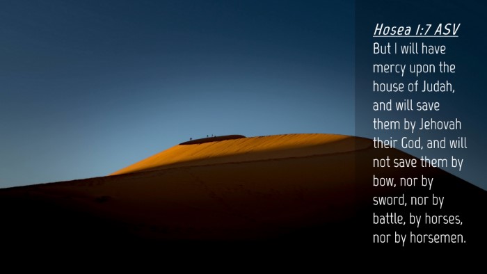 Picture 04 - Hosea 1:7 ASV Desktop Wallpaper - But I will have mercy upon the house of Judah, - Desktop Bible Verse Wallpaper