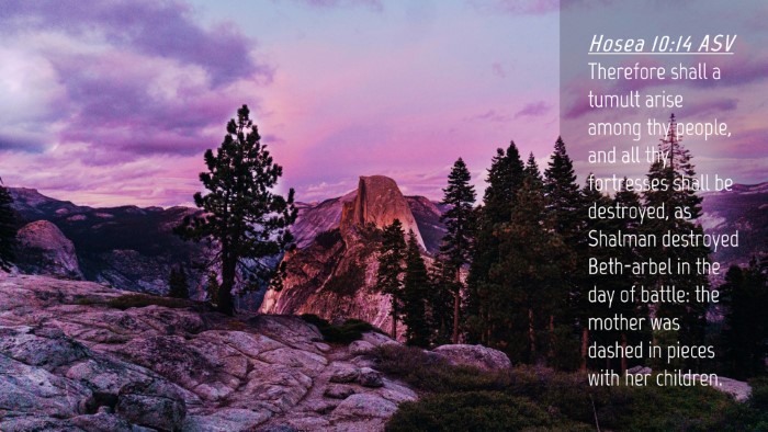 Picture 04 - Hosea 10:14 ASV Desktop Wallpaper - Therefore shall a tumult arise among thy people, - Desktop Bible Verse Wallpaper