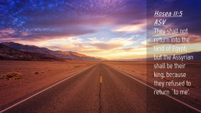 Picture 04 - Hosea 11:5 ASV Desktop Wallpaper - They shall not return into the land of Egypt; but - Desktop Bible Verse Wallpaper