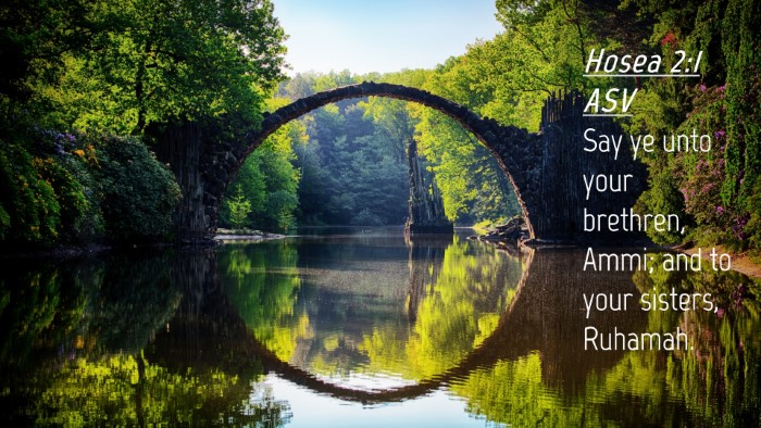 Picture 04 - Hosea 2:1 ASV Desktop Wallpaper - Say ye unto your brethren, Ammi; and to your - Desktop Bible Verse Wallpaper